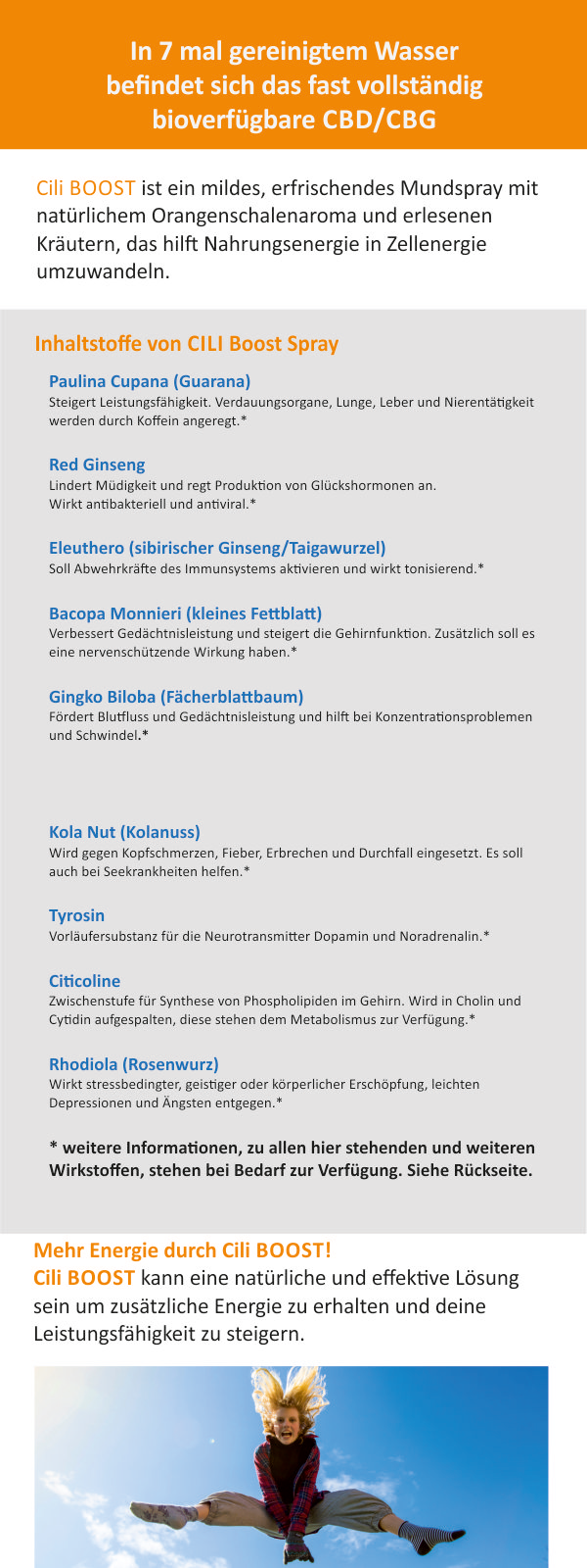 Flyer "Cili BOOST", 60 Stück