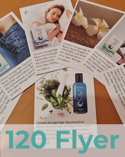 Cili Flyer Paket S (120 Flyer)