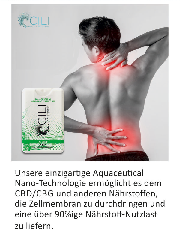 Flyer "Cili RELIEF", 60 Stück