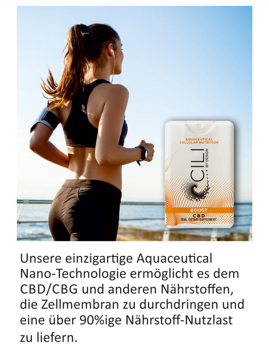 Flyer "Cili BOOST", 60 Stück