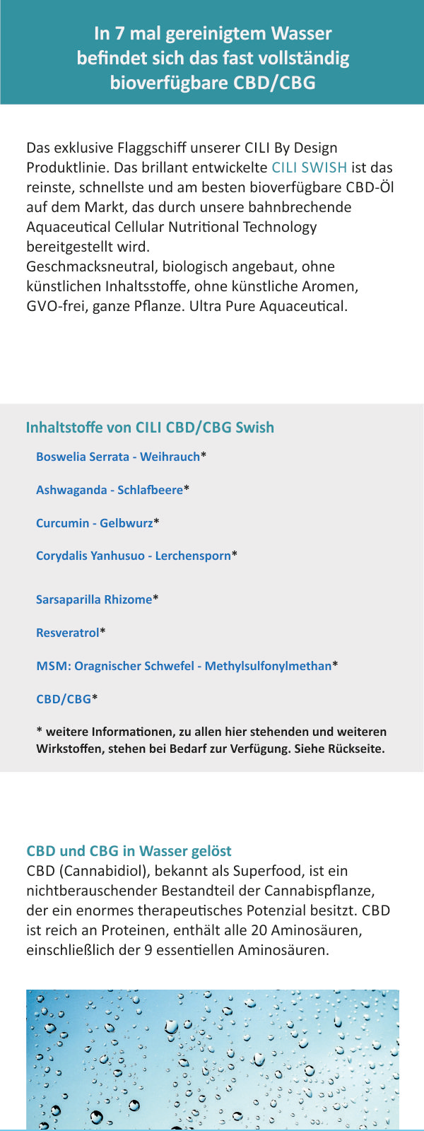 Flyer "Cili SWISH", 60 Stück