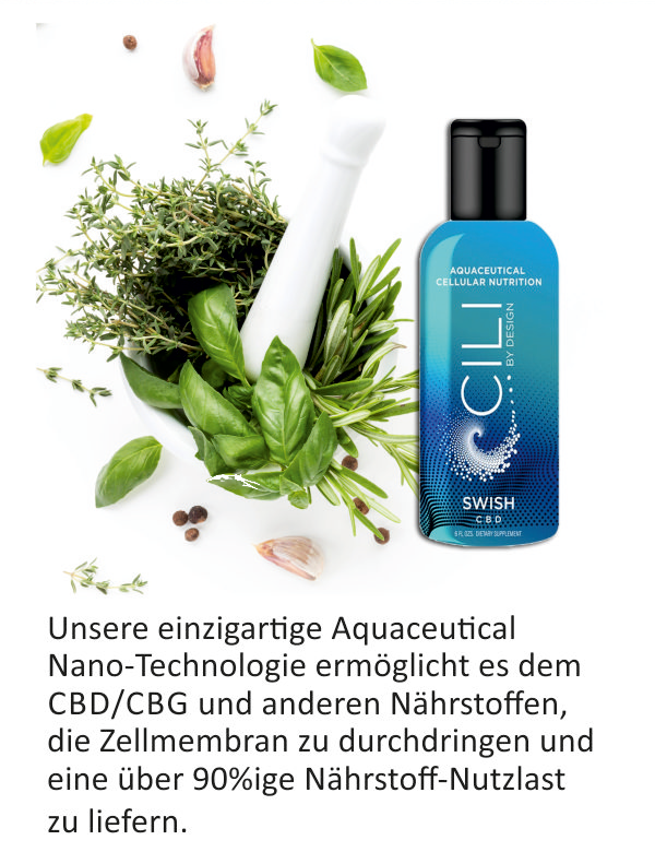 Flyer "Cili SWISH", 60 Stück